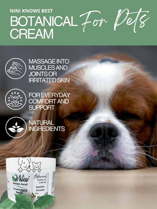 Pet Cream for Joint Support and Comfort