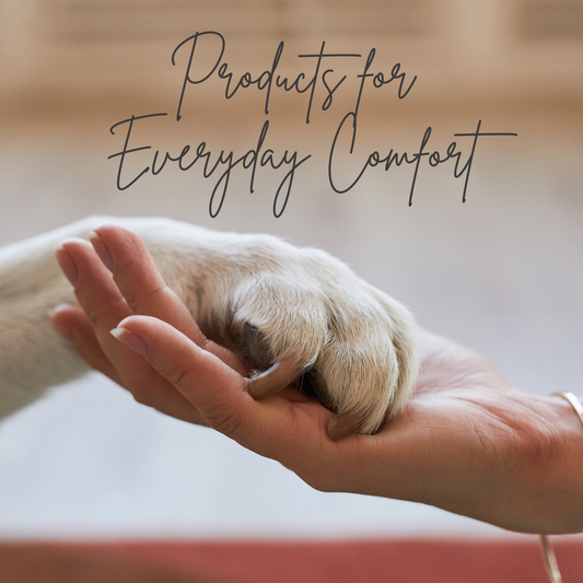 Hand holding a dog's paw with text 'Products for Everyday Comfort' on a blurred background