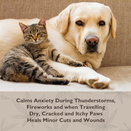 CBD Paw Tonic