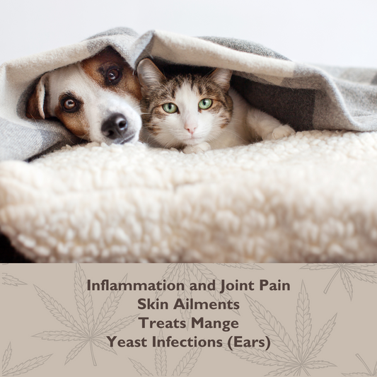 CBD Pet Care Bundle - Paw Tonic & Pet Cream