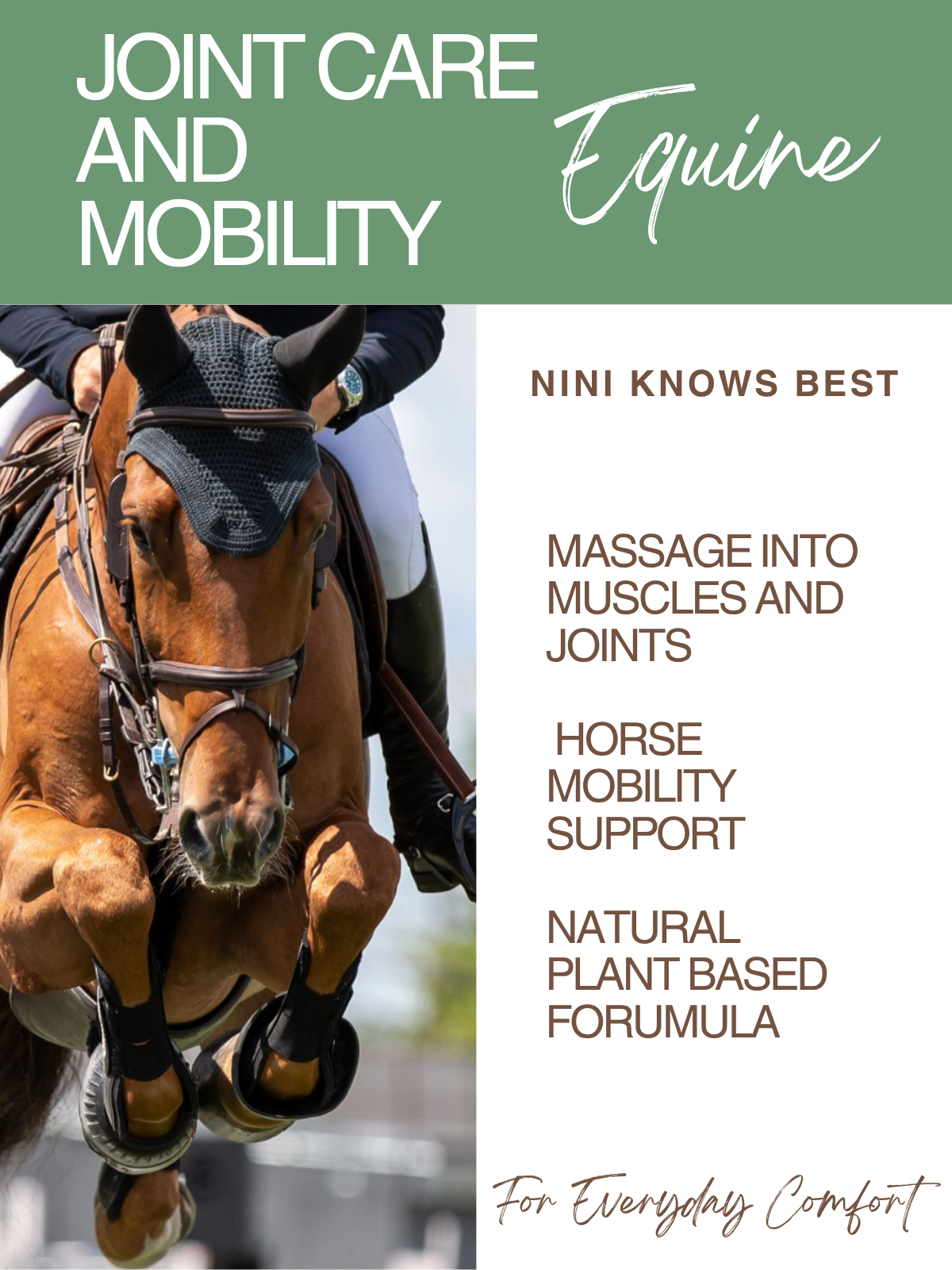 Equine Cream for Joint Support and Comfort