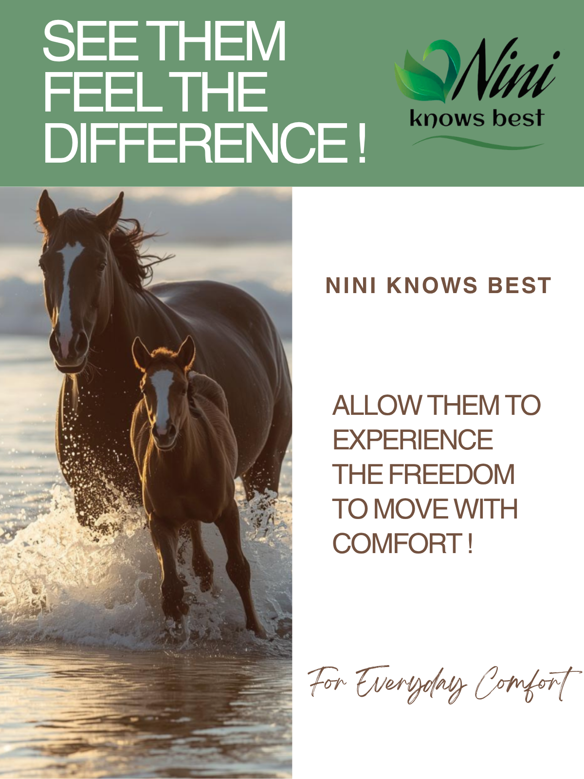 Equine Cream for Joint Support and Comfort