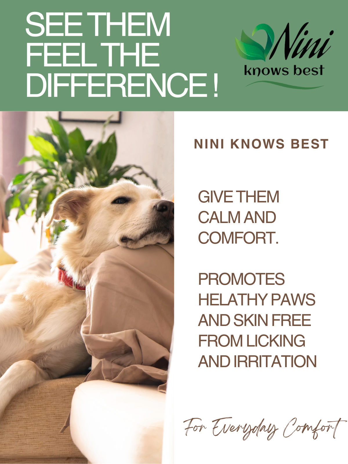 Paw Tonic for Calm and Paw Care