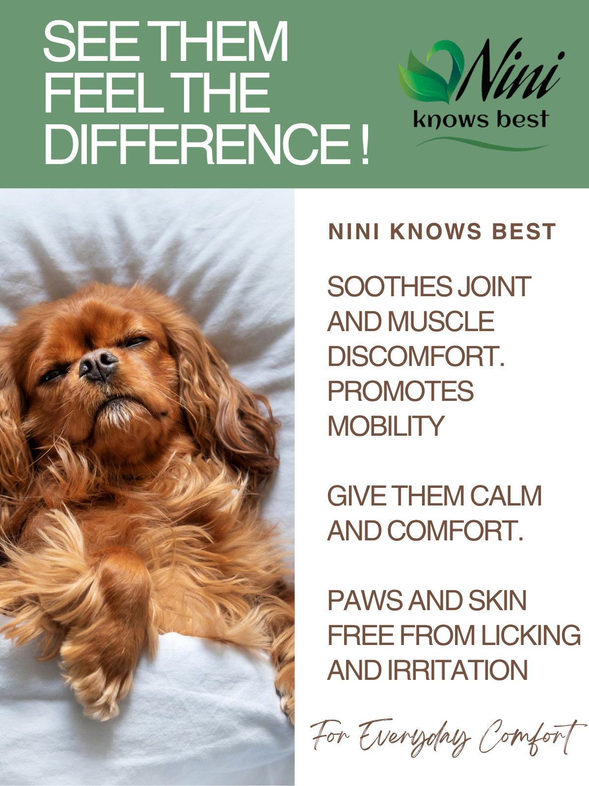 Pet Care Bundle - Paw Tonic & Pet Cream