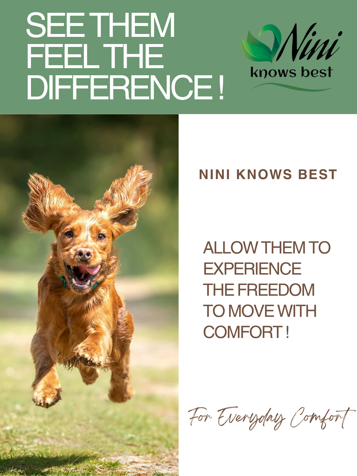 Pet Cream for Joint Support and Comfort