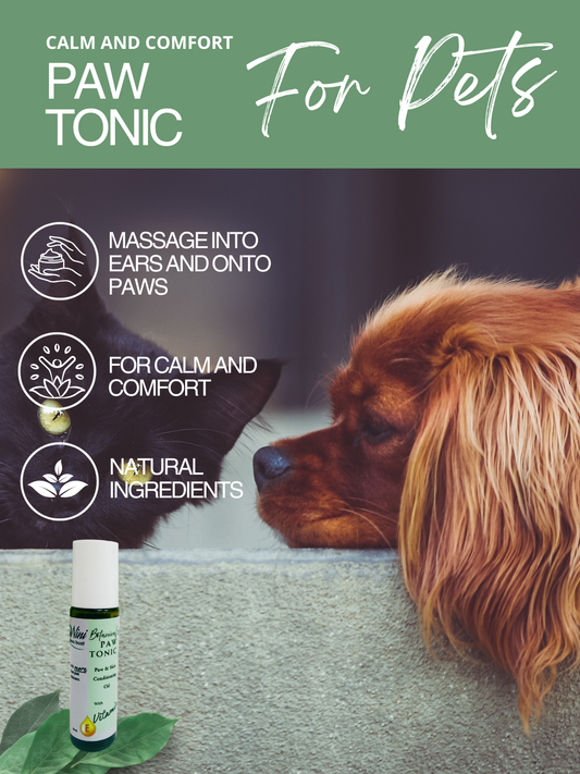 Paw Tonic for Calm and Paw Care — main product image