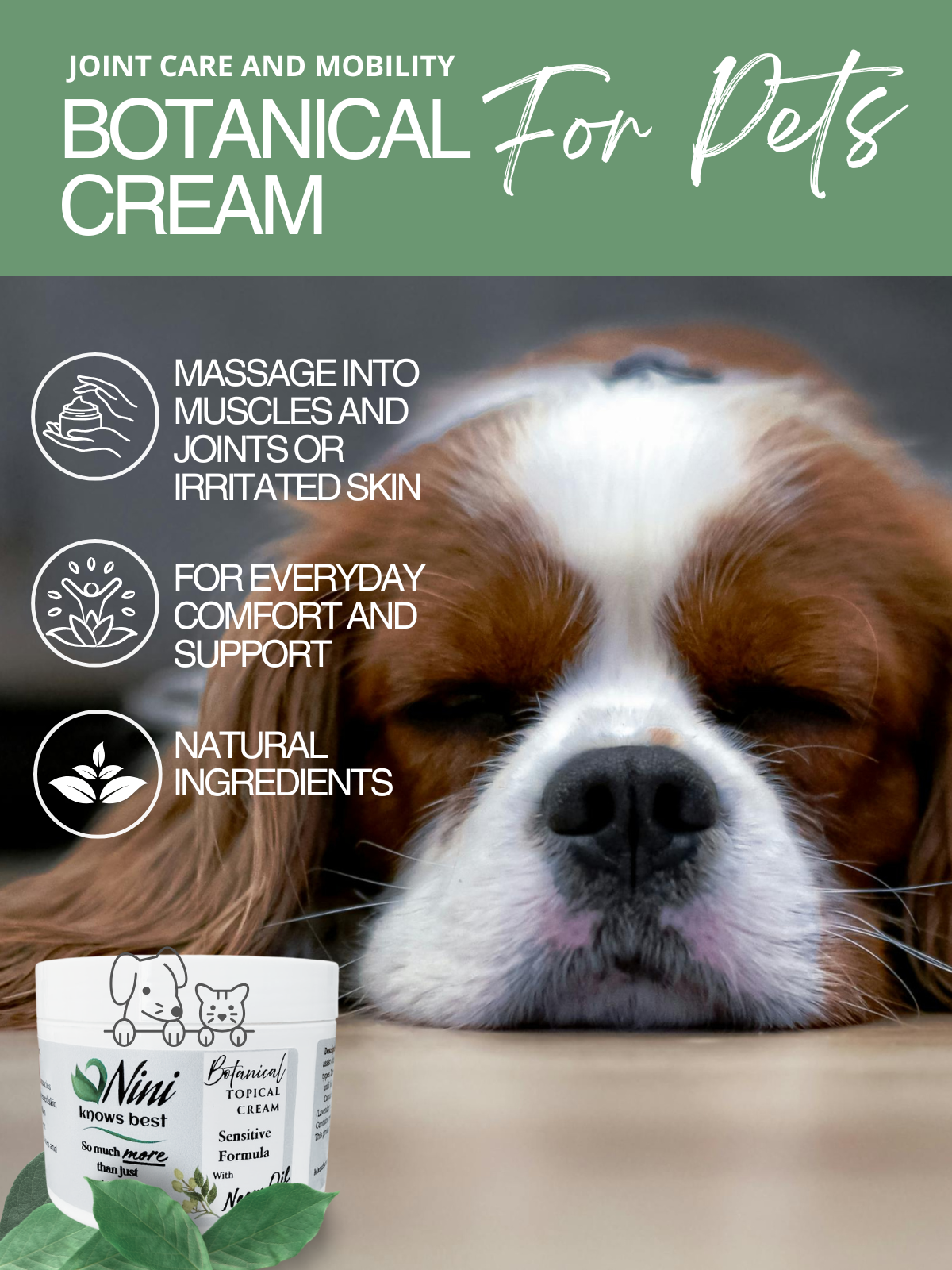 Pet Cream for Joint Support and Comfort — main product image